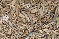 biomass boilers Cog
